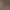 Я припрятал юрких кошечек 8.