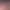 https://shared.akamai.steamstatic.com/store_item_assets/steam/apps/2641590/header_russian.jpg?t=1702007992