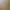 https://shared.akamai.steamstatic.com/store_item_assets/steam/apps/2643960/header.jpg?t=1731535117