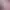 https://shared.akamai.steamstatic.com/store_item_assets/steam/apps/2663600/header.jpg?t=1721888882