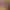 https://shared.akamai.steamstatic.com/store_item_assets/steam/apps/2664300/header.jpg?t=1705503767