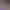 https://shared.akamai.steamstatic.com/store_item_assets/steam/apps/2665010/header.jpg?t=1709149860