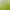 https://shared.akamai.steamstatic.com/store_item_assets/steam/apps/2671970/header.jpg?t=1733375343