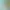 https://shared.akamai.steamstatic.com/store_item_assets/steam/apps/2673990/header.jpg?t=1723312296