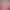 https://shared.akamai.steamstatic.com/store_item_assets/steam/apps/2679350/header.jpg?t=1749917801