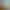 https://shared.akamai.steamstatic.com/store_item_assets/steam/apps/2682580/header.jpg?t=1739394639
