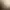 Glimpse.