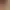 https://shared.akamai.steamstatic.com/store_item_assets/steam/apps/2689440/header.jpg?t=1743251857