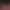 https://shared.akamai.steamstatic.com/store_item_assets/steam/apps/2691700/header.jpg?t=1724194291