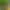 https://shared.akamai.steamstatic.com/store_item_assets/steam/apps/2692010/header.jpg?t=1702094973