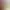https://shared.akamai.steamstatic.com/store_item_assets/steam/apps/2696200/header.jpg?t=1703134945