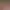 https://shared.akamai.steamstatic.com/store_item_assets/steam/apps/2702970/header.jpg?t=1728838084