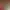 https://shared.akamai.steamstatic.com/store_item_assets/steam/apps/2712480/header.jpg?t=1731308185