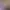 https://shared.akamai.steamstatic.com/store_item_assets/steam/apps/2713990/header.jpg?t=1726082343