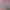 https://shared.akamai.steamstatic.com/store_item_assets/steam/apps/2721250/header.jpg?t=1705172582