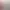 https://shared.akamai.steamstatic.com/store_item_assets/steam/apps/273152/header.jpg?t=1690416241