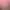Project WAND: Festival Of Futas.