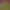 https://shared.akamai.steamstatic.com/store_item_assets/steam/apps/275390/header.jpg?t=1749252809