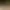 https://shared.akamai.steamstatic.com/store_item_assets/steam/apps/2754670/header.jpg?t=1735118239