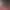 https://shared.akamai.steamstatic.com/store_item_assets/steam/apps/2757250/header.jpg?t=1729059605