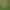 Twizzle Puzzle: Reptiles.
