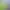 Cow Life Sim RPG.