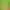 Cow Life Sim RPG.
