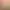 https://shared.akamai.steamstatic.com/store_item_assets/steam/apps/2781960/header.jpg?t=1727475532