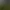 Russian Hut Simulator.