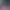 https://shared.akamai.steamstatic.com/store_item_assets/steam/apps/2786680/header.jpg?t=1742359731