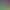 https://shared.akamai.steamstatic.com/store_item_assets/steam/apps/2797080/header.jpg?t=1741958231