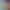 https://shared.akamai.steamstatic.com/store_item_assets/steam/apps/2801960/header.jpg?t=1727763485