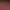 https://shared.akamai.steamstatic.com/store_item_assets/steam/apps/281080/header.jpg?t=1670275432