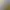 Дополнение «The Sims™ 4 Любимое дело».