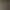 Я припрятал юрких мышек 3.