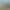 RollerCoaster Tycoon World™.