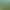 RollerCoaster Tycoon World™.