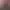 https://shared.akamai.steamstatic.com/store_item_assets/steam/apps/2827500/header.jpg?t=1714720154