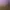 https://shared.akamai.steamstatic.com/store_item_assets/steam/apps/2829790/header.jpg?t=1741278213