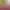 https://shared.akamai.steamstatic.com/store_item_assets/steam/apps/2830100/header.jpg?t=1729836023