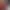 https://shared.akamai.steamstatic.com/store_item_assets/steam/apps/2830430/header.jpg?t=1732459282
