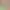 https://shared.akamai.steamstatic.com/store_item_assets/steam/apps/2834330/header.jpg?t=1737497562