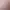 https://shared.akamai.steamstatic.com/store_item_assets/steam/apps/2841110/header.jpg?t=1732893112