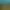 Amazônia Viva Game: animais em extinção.