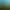 Amazônia Viva Game: animais em extinção.