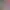 https://shared.akamai.steamstatic.com/store_item_assets/steam/apps/2855500/header.jpg?t=1746970579