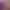 https://shared.akamai.steamstatic.com/store_item_assets/steam/apps/2857070/header.jpg?t=1730134825