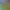 https://shared.akamai.steamstatic.com/store_item_assets/steam/apps/285920/header.jpg?t=1750335402