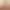 https://shared.akamai.steamstatic.com/store_item_assets/steam/apps/286000/header.jpg?t=1731002783