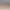 https://shared.akamai.steamstatic.com/store_item_assets/steam/apps/2865610/header.jpg?t=1733835417